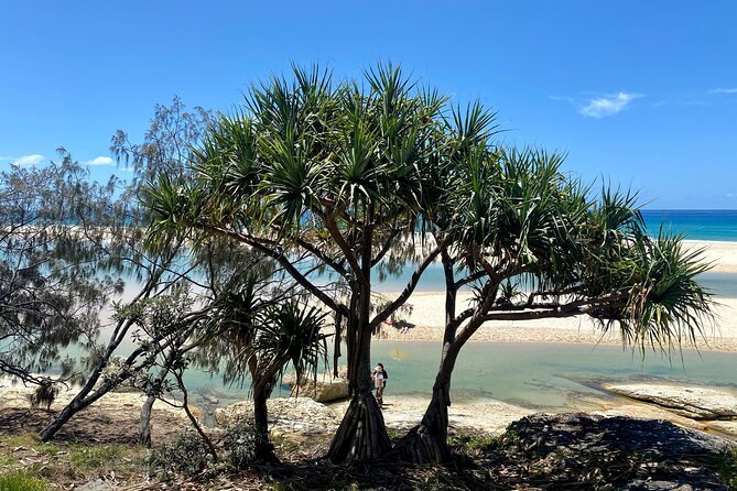 North Stradbroke Island SUNSET Tour - Reviews and Ratings Overview