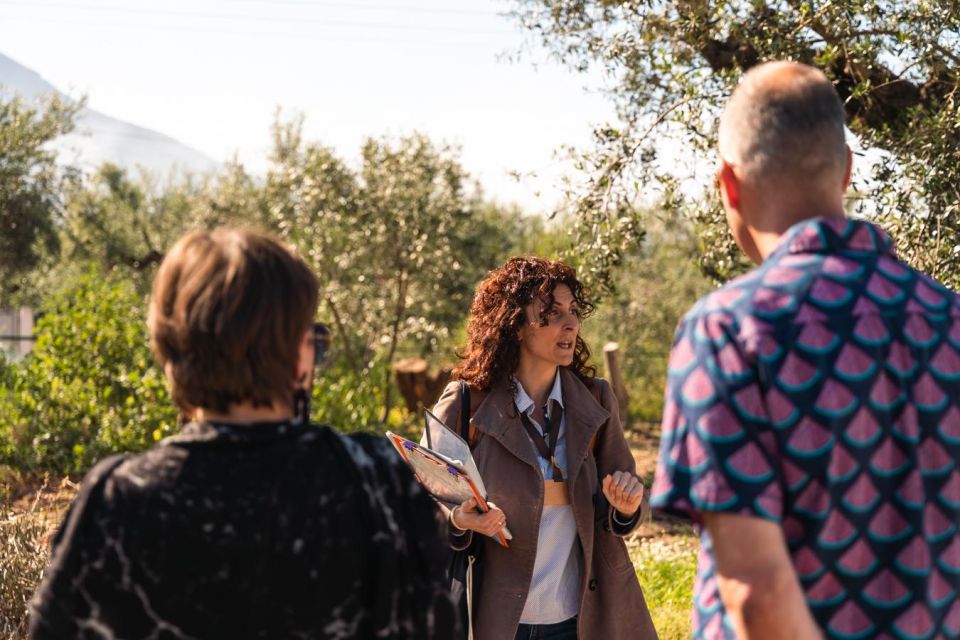 Olive Oil Tour & Tasting in Kalamata, Messinia, Greece - Customer Reviews