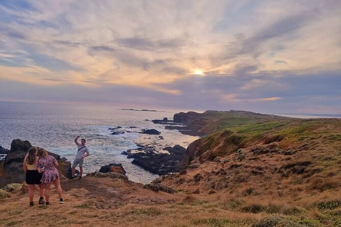 Penguin Parade With Wine Tasting and Feast From Phillip Island - What to Expect on Tour