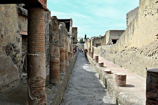 Pompeii and Herculaneum Private Walking Tour With an Archaeologist - FAQs