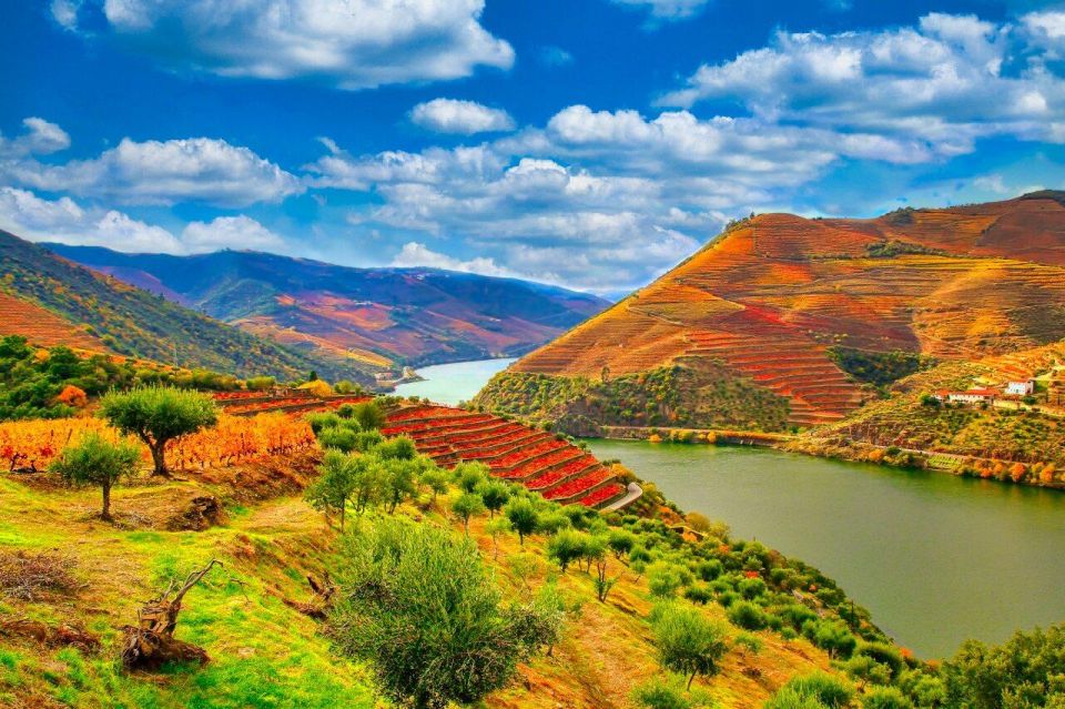 Porto: Douro Valley 2 Vineyards Tour W/ Lunch & River Cruise - Customer Reviews