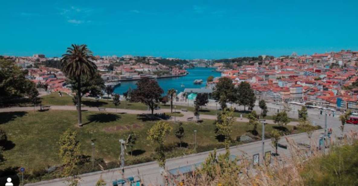 Porto: Monuments, Landmarks, and Cuisine Tour - Taste Authentic Porto Cuisine