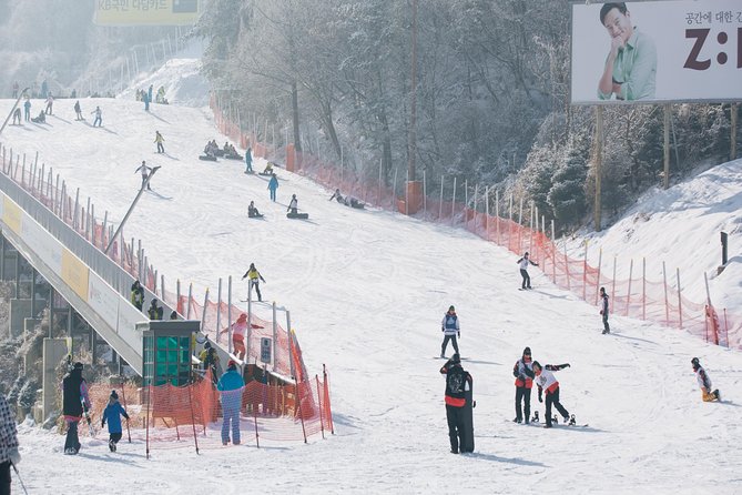 Private 1:1 Ski Lesson Near Seoul, South Korea - Cancellation and Refund Policy
