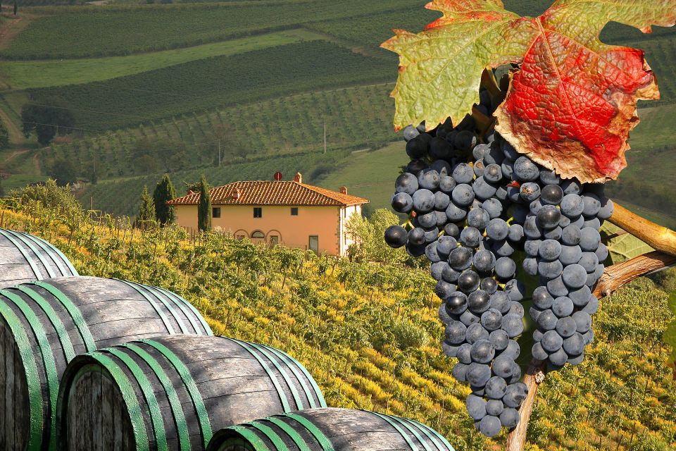 Private Chianti Tour and Wine Tasting - Additional Information