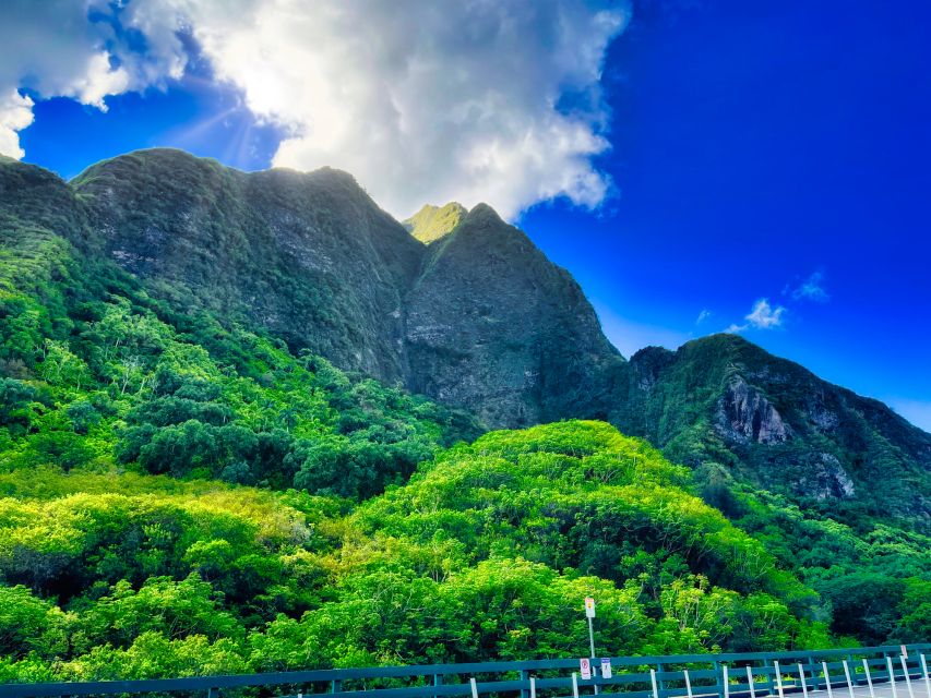 Private Iao Valley/Upcountry VIP Farm Tour- Full Day - Local Culture Experience