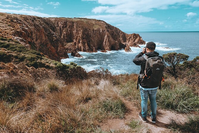 Private Phillip Island & Penguin Parade Hiking Tour From Melbourne - Travel in Comfort and Style