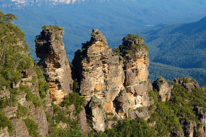 Private Tour Blue Mountains Day Adventure Wildlife + River Cruise - Important Safety Information