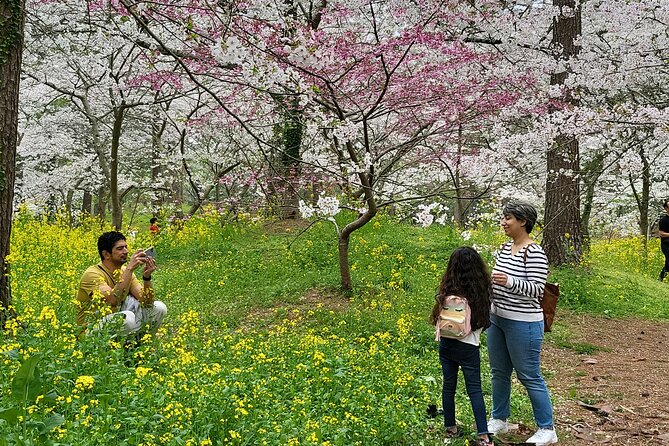 Private Tour in Ossulloc Tea Fam and Hanrim Park in Jeju Island - Cancellation and Refund Policy