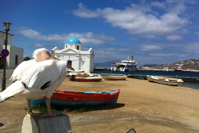 Private Tour: Mykonos Island in Half a Day - Tour Details