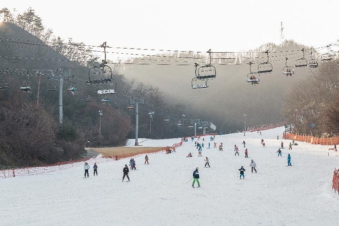 [Private Tour] Nami Island & Ski (Ski Lesson, Equip & Clothing Included) - Cancellation and Refund Policy