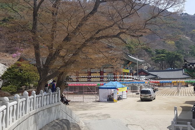 Private Trip to Seongmo Island(Temple) and North Korea Observatory+Kimchi Lesson - Tour Inclusions and Perks
