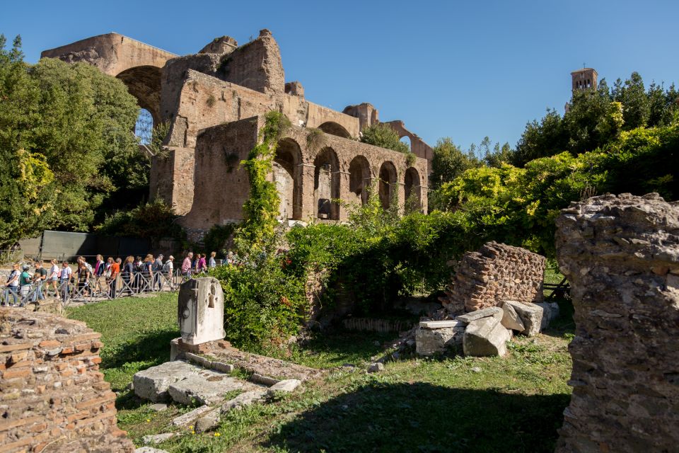 Rome: Colosseum, Forum and Palatine Hill Private Guided Tour - Important Information