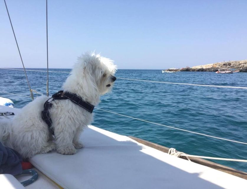 Santa Maria Di Leuca: Sailing Trip With Lunch - What to Bring on the Trip