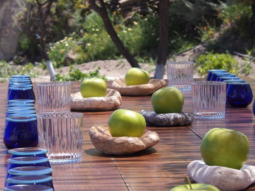 Santorini: Greek Olive Oil and Culinary Pairing Experience - Customer Review