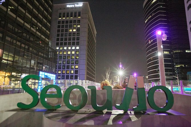 Seoul Night Tour: Sevit Some, Fountain, and Palace - What to Expect at Night
