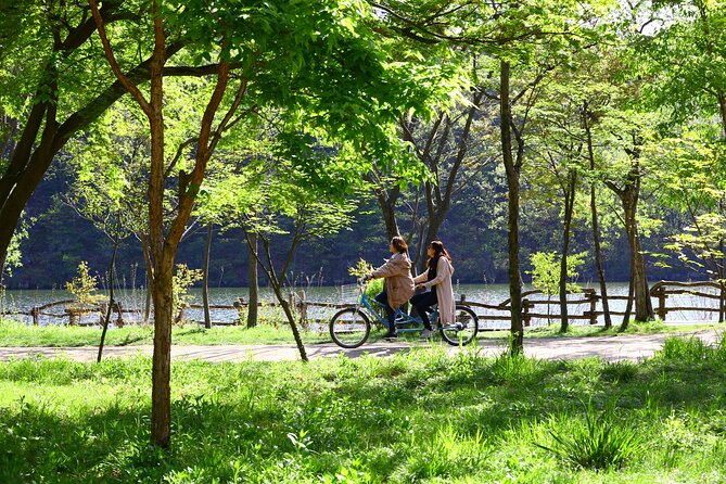 Seoul to Nami Island Round Trip Shuttle Bus Service - Pricing and Booking Information