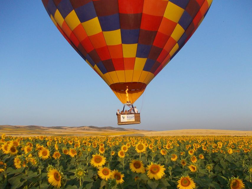Seville: Hot Air Balloon Ride With Free Buffet Brunch & Cava - Meeting Point