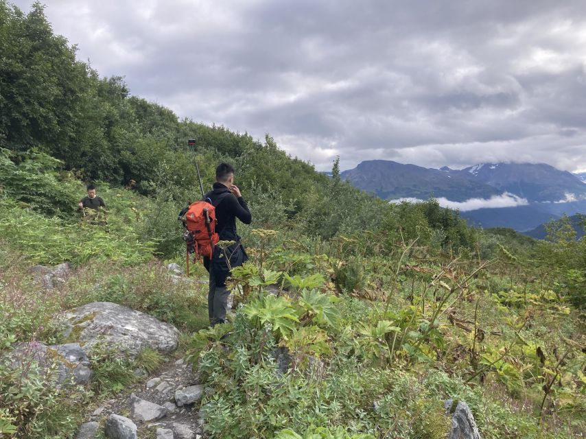 Seward: Guided Wilderness Hike With Transfer - Pricing Details