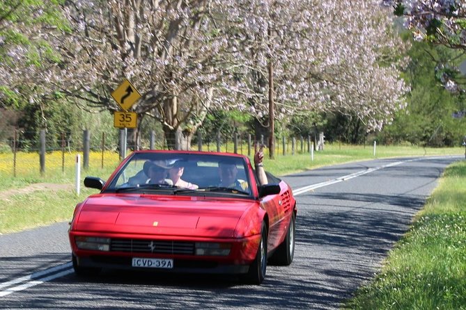 Six-Bridges-of-Sydney-Vintage-Car-Ride-Experience - Reviews From Past Travelers