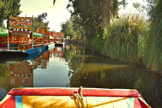 Small Group: Discover Xochimilco, Coyoacán, Frida Kahlo Museum and House - Host Responses