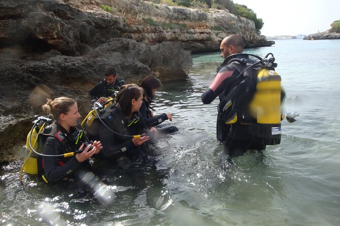 Small Group Diving Adventure in Menorca - Final Words