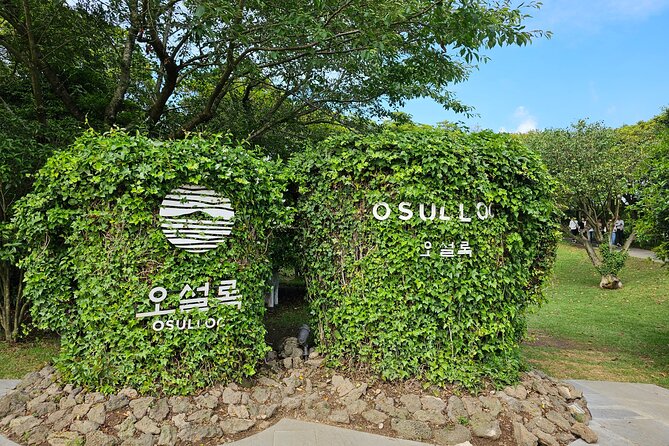 Small Group Private Day Tour - South of Jeju Island - Safety and Accessibility Notes