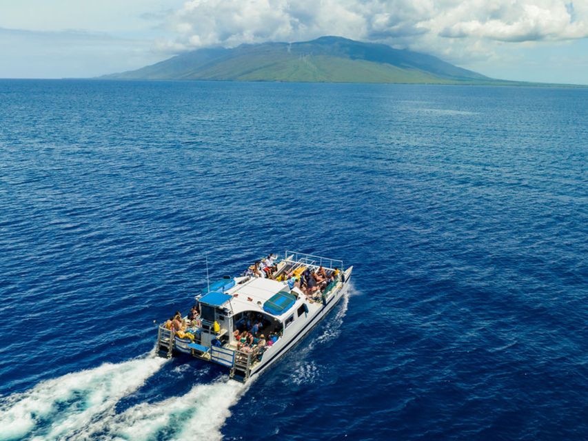 South Maui: Molokini and Turtle Town Snorkeling Tour - Pricing and Booking Details