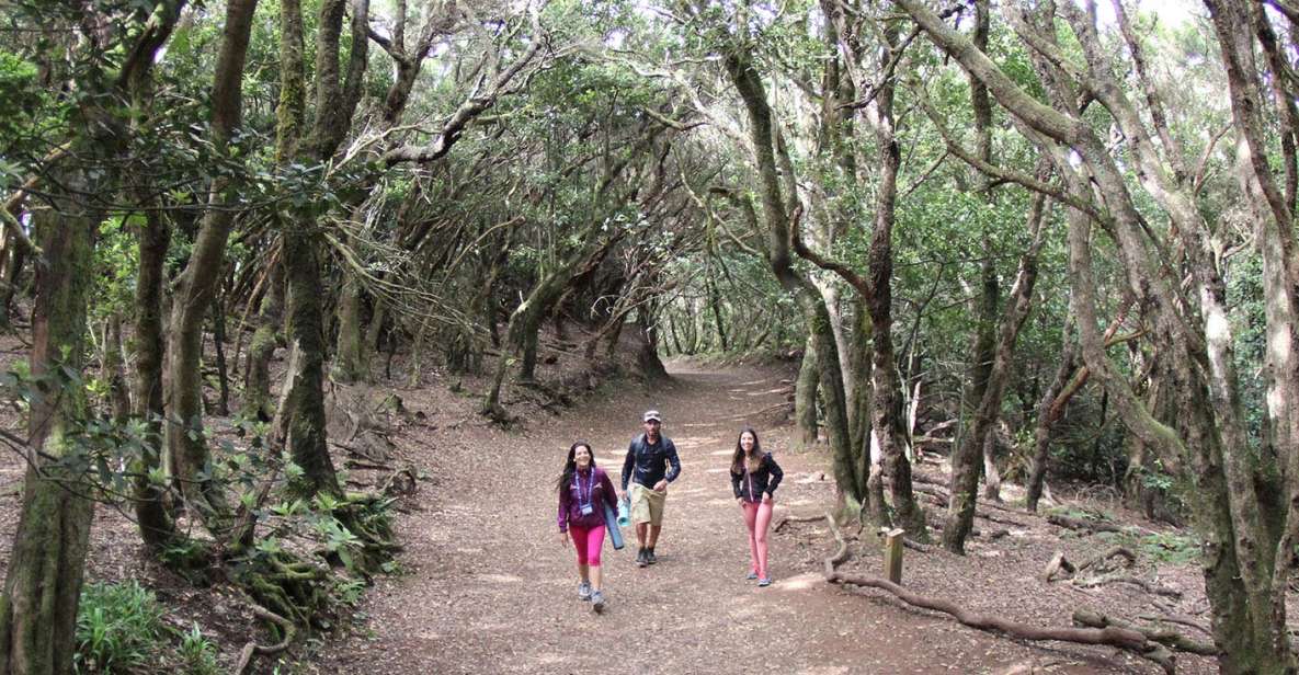 Tenerife: Guided Mindful Hike in Anaga Biosphere Reserve - Important Notes