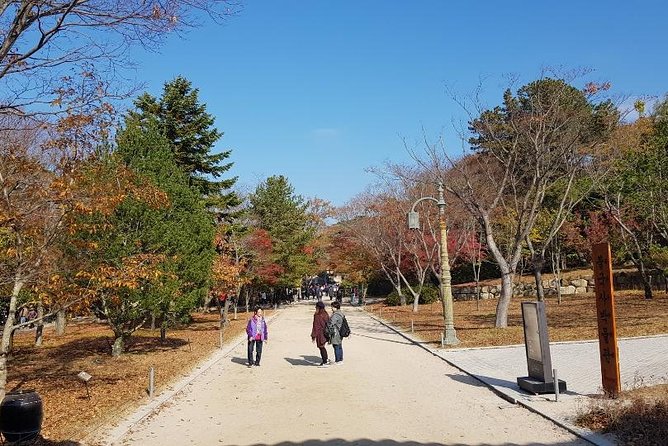 The Ancient City of Brilliant Shilla Kingdom - Gyeongju in One Day( or Overnite) - Accommodations and Logistics