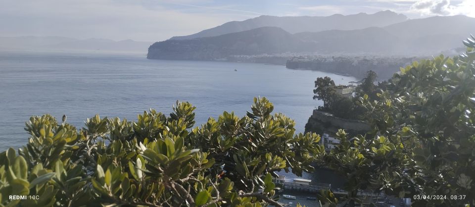 Tour Di Positano Sorrento and Pompeii From Naples - Pickup Locations