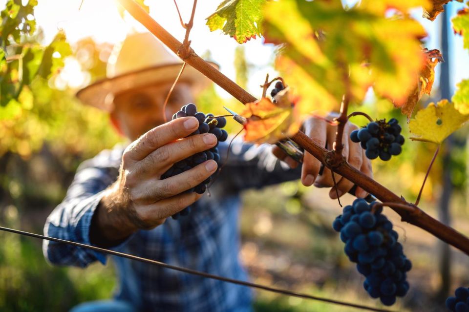 UNESCO Heritage and Wine Delights Private Tour From Bordeaux - Directions