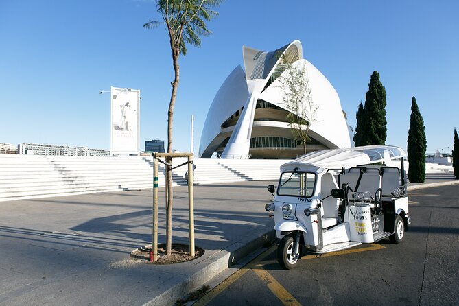 Valencia Complete Tour by Tuk Tuk - Guide Insights