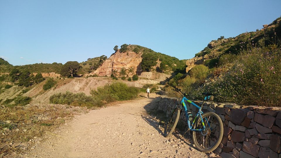 Valencia: Private Mountain Biking Trip in Sierra Calderona - Group Size