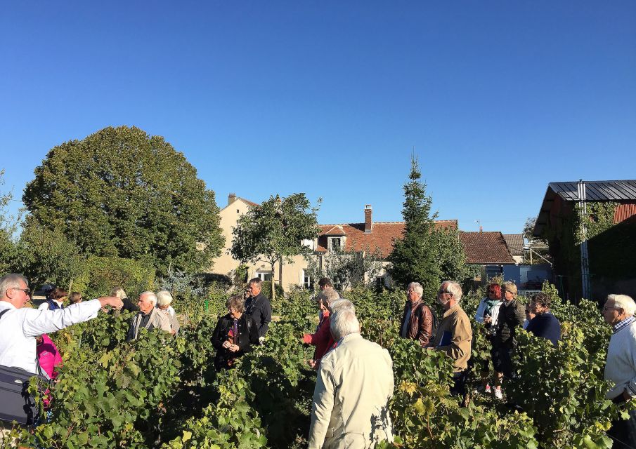 Visit and Tasting Chablis Clotilde Davenne in French - Reviews From Previous Visitors