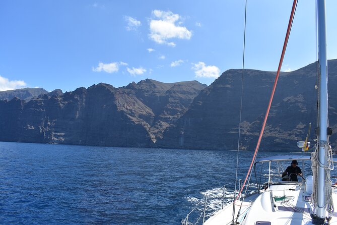 Whale Watching in Los Gigantes for Over 11 Years - Booking Details and Price