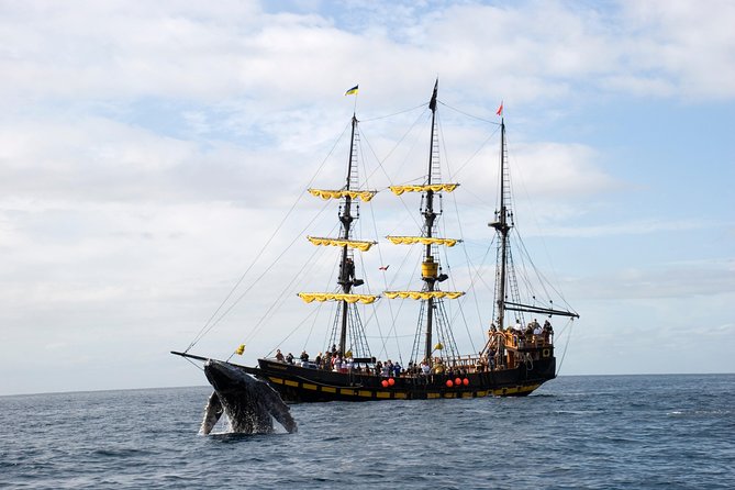 Whale-Watching Pirate Ship Cruise in Los Cabos - Common questions