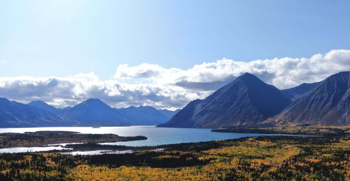 Whitehorse: Kluane National Park & Haines Junction Day Trip - Inclusions and Exclusions