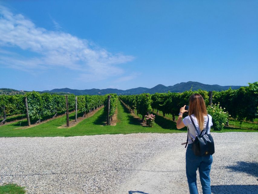Wine Tour in the Euganean Hills From Abano Montegrotto - Meeting Point and Know Before You Go