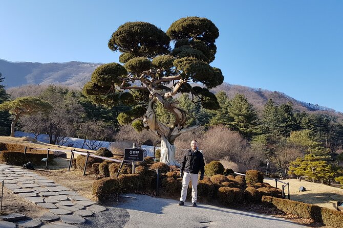 2 Day Essential Tour-Nami, Morning Calm Garden & Mt. Seoraksan - Cancellation and Refund Policy