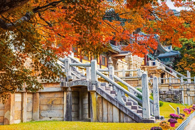 2-Day Gyeongju Rail Tour From Seoul - What to Expect and Tips