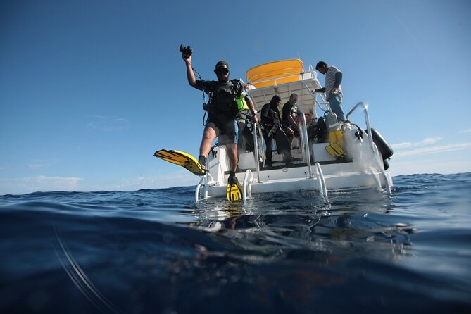 2 Tank Tour in Cabo San Lucas Reserve, Certified Divers With MANTA - Common questions