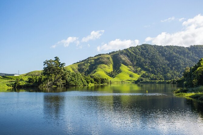 Afternoon Tour Mossman Gorge & Daintree River From Port Douglas - Reviews and Testimonials Overview