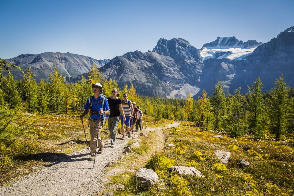 Banff National Park: Guided Signature Hikes With Lunch - Common questions