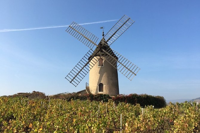 Beaujolais Wines & Castles - Private Tour - Half Day - Common questions