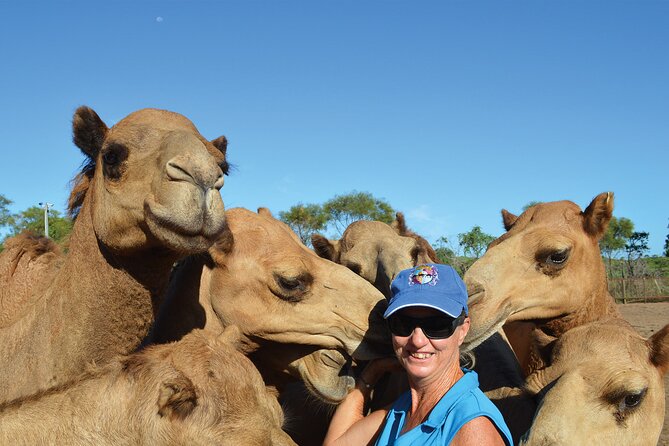 Broome Pre-Sunset Camel Tour 30 Minutes - Camel Ride and Photo Ops