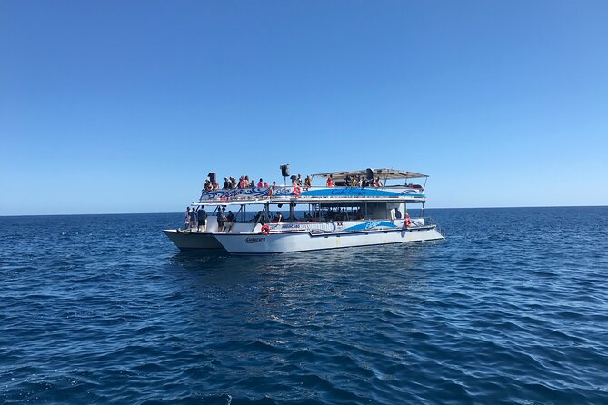 Cabo San Lucas Half-Day Snorkel Cruise With Lunch, Open Bar - Final Words