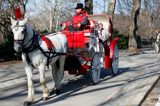 Central Park and NYC Horse Carriage Ride OFFICIAL ( ELITE Private) Since 1970 - Common questions
