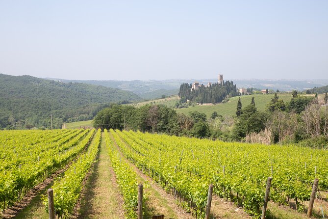 Chianti Wine Tastings at Sunset Day Trip From Florence - Recommendations and Future Visits