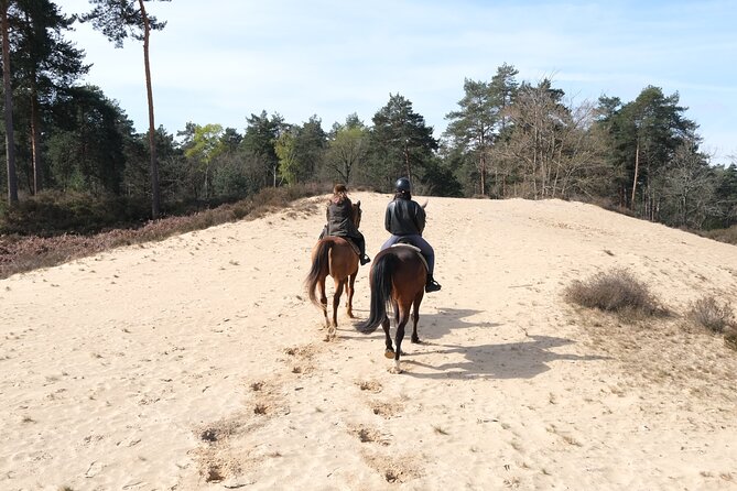 Day Trip to Fontainebleau : Horse Riding, Gastronomy and Castle - Booking and Reservation Process
