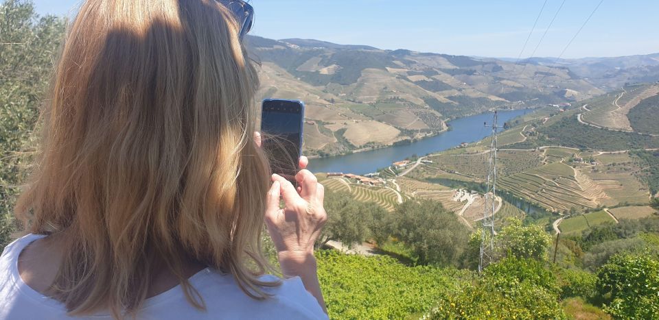 Douro Valley:Expert Wine Guide,Boat, Wine, Olive Oil & Lunch - Important Tour Information